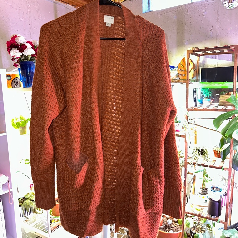 Cozy Rust Sweater